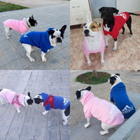 Roupas para cães de estimação de inverno 2023