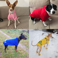 Roupas para cães de estimação de inverno 2023