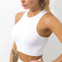 Confortáveis Camisetas Básico