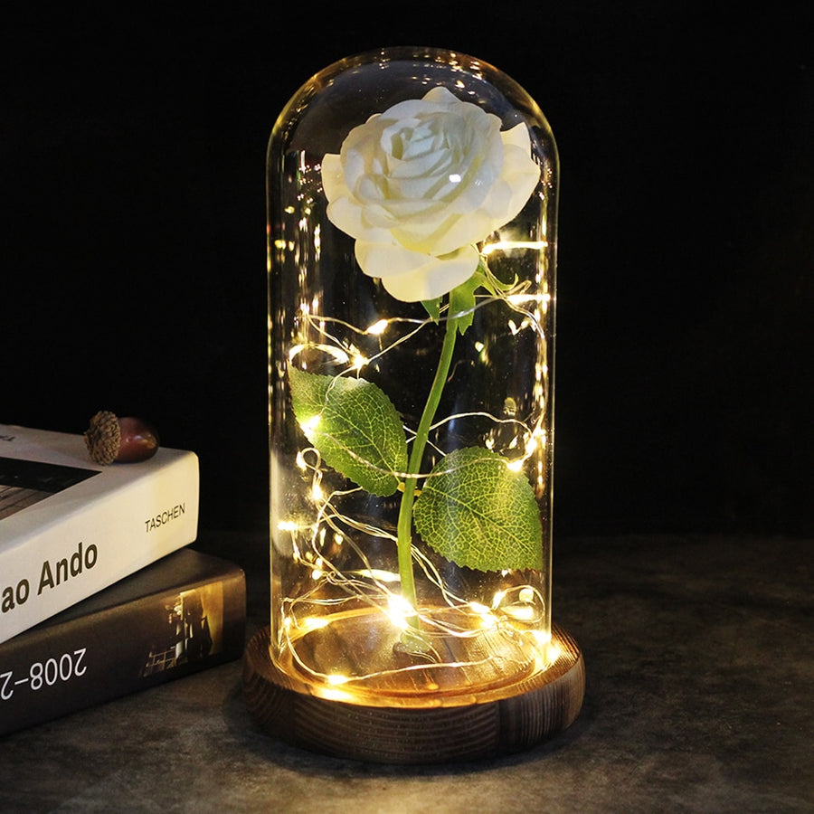 Luzes decorativas de fada na cúpula