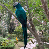 Decoração de Jardim Animal Pássaro, Papagaio artificial