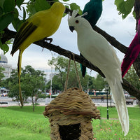 Decoração de Jardim Animal Pássaro, Papagaio artificial