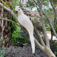 Decoração de Jardim Animal Pássaro, Papagaio artificial