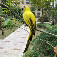 Decoração de Jardim Animal Pássaro, Papagaio artificial
