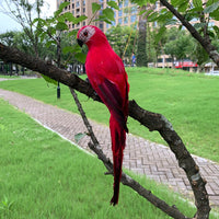 Decoração de Jardim Animal Pássaro, Papagaio artificial