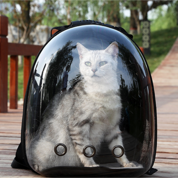 Linda mochila portátil para animais de estimação